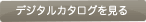 �f�W�^���J�^���O������