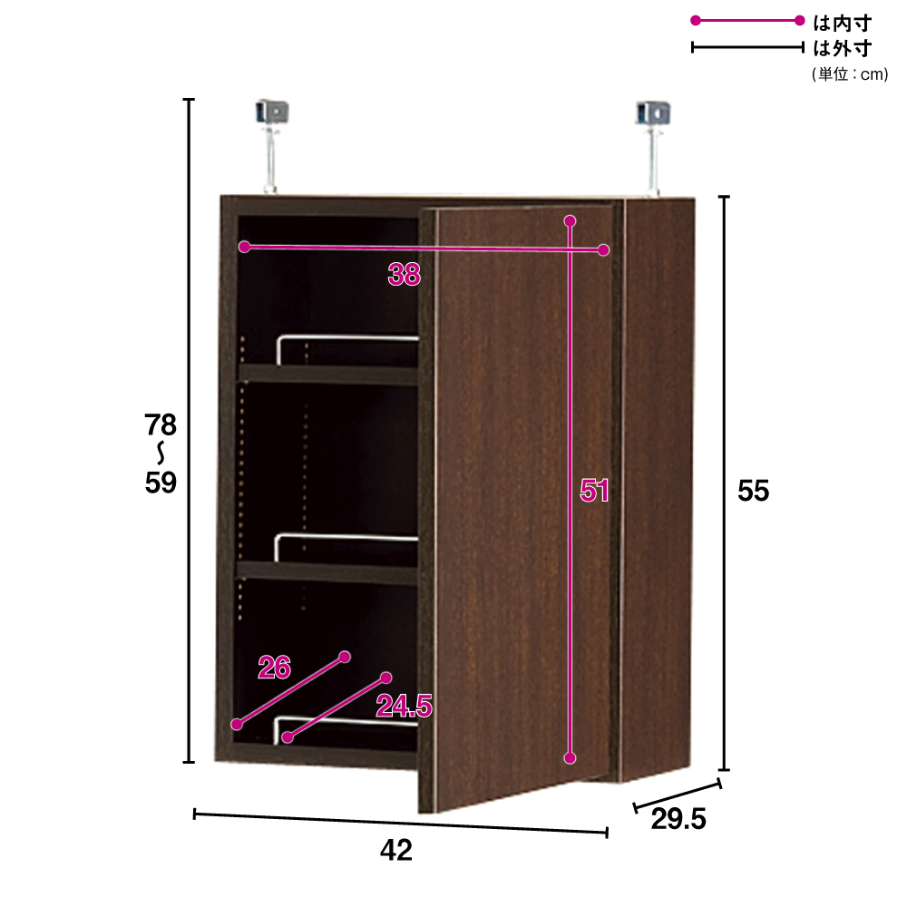 1cmピッチ薄型壁面書棚 奥行29.5cm 幅42cm 上置き高さ55cm 扉 ディノス