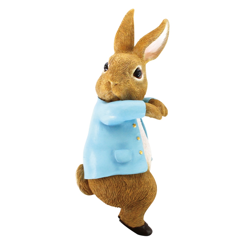 Peter rabbit ピーターラビット 半袖短パン 夏物 80cm セット - その他