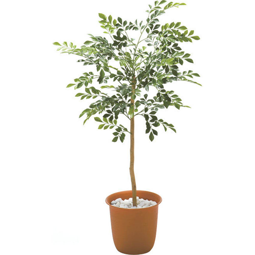 ≪高さ160cm≫ 人工観葉植物シマトネリコ１鉢 ディノスANAmall店