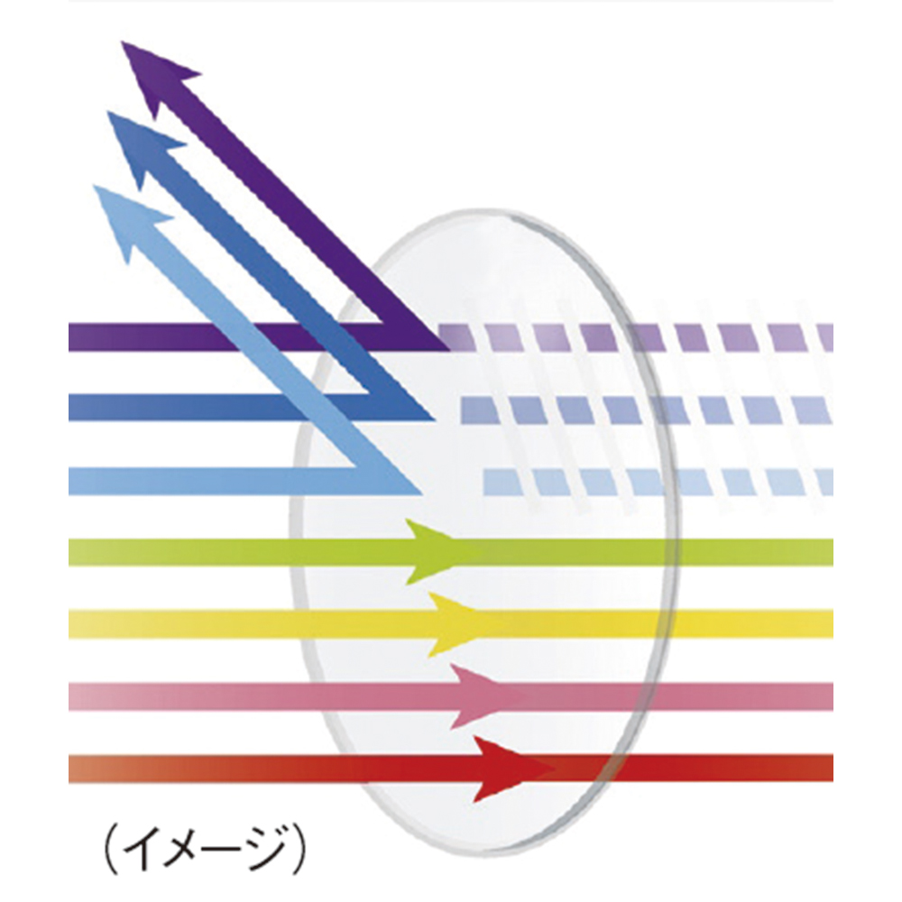 オールタイムサングラス（R） フィールプラス（老眼レンズ付