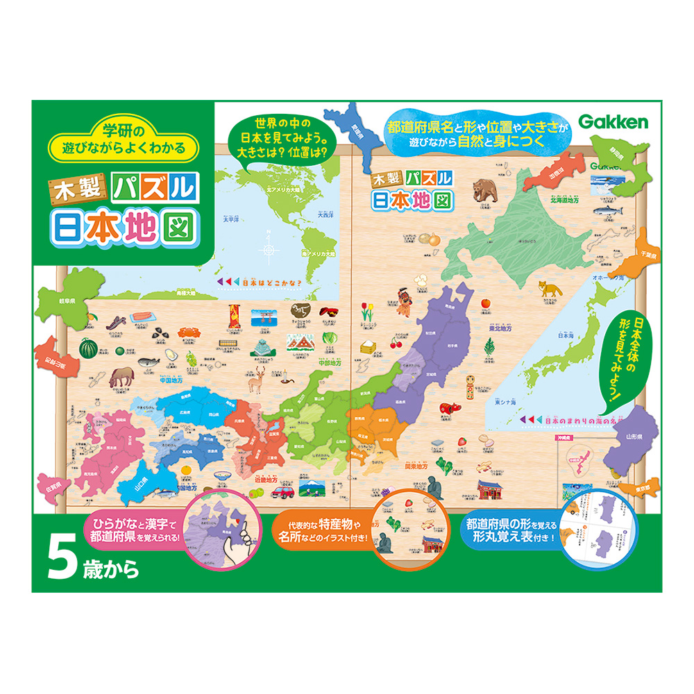 学研ステイフル 学研の遊びながらよくわかる 木製パズル日本地図 通販 ディノス