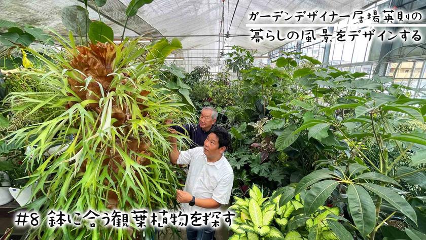 #8観葉植物を探す.jpg