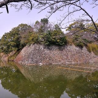 圧巻の梅の盆栽 大和郡山 盆梅展 風景 をつくるガーデニング術