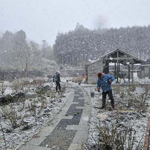 2月末、京北バラ園（六ヶ畔・花簾庭）の雪模様