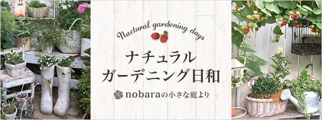 ナチュラルガーデニング日和 Nobaraの小さな庭より