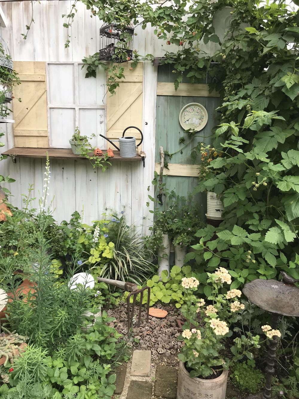 6周年記念イベントが バラ愛好家のガーデンスタイル ベランダ 玄関 小さな庭の花 野菜づくり教室