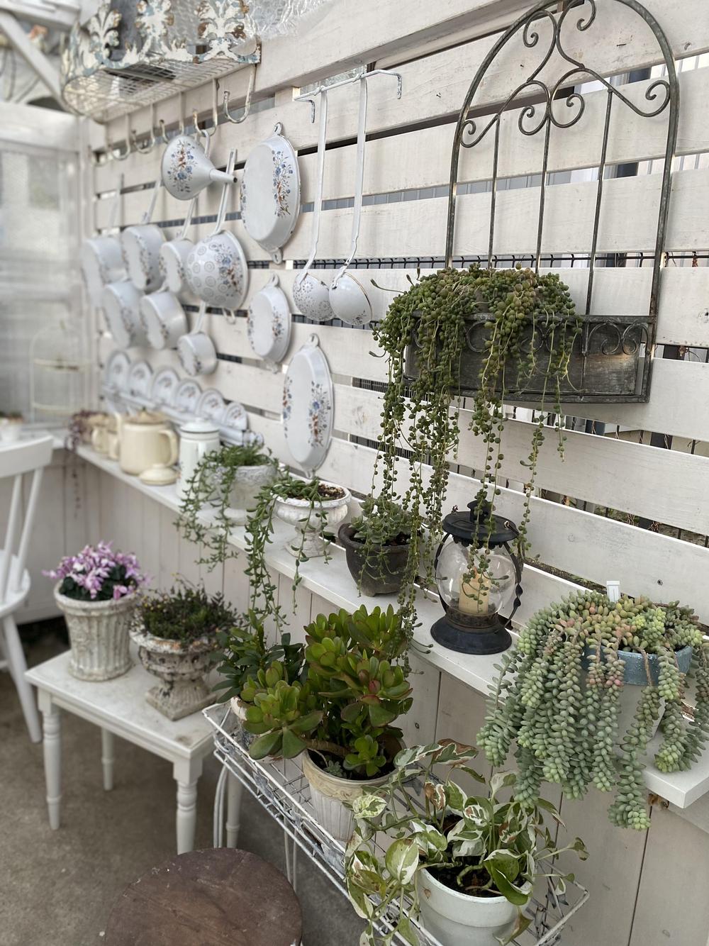 日本メーカー新品 棚20 花台 ツリー型 多肉植物 観葉植物 飾り棚 ディスプレイラック