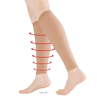 一般医療用着圧サポーター 極薄型 4枚組 通販 - ディノス