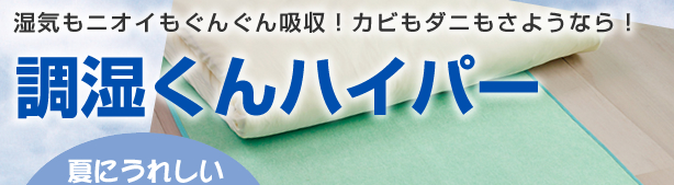 湿気もニオイもぐんぐん吸収！調湿くん®ハイパー特集 ディノス(dinos)